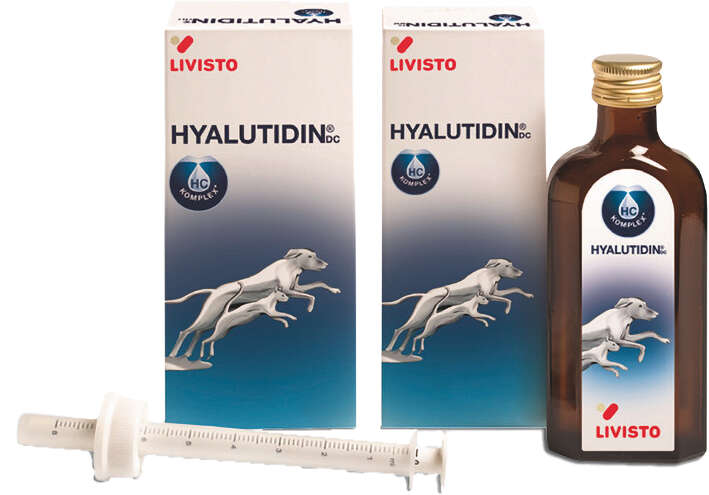 Livisto Hyalutidin DC, Ergänzungsfuttermittel für Hunde und Katzen